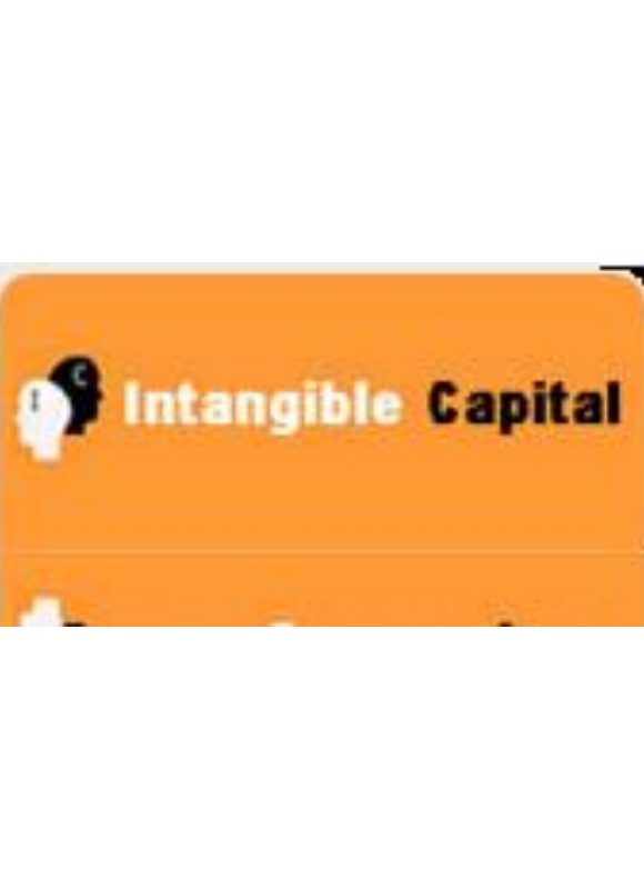 Intangible Capital