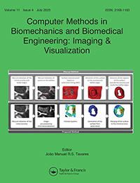 Computer Methods In Biomechanics And Biomedical Engineering-imaging And Visualiz