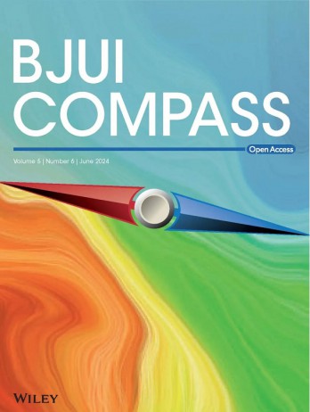 Bjui Compass杂志