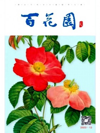 百花园杂志