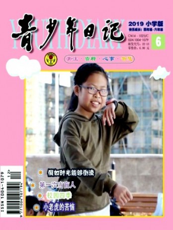 青少年日记·小学版杂志