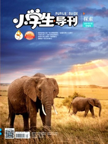 小学生导刊·中年级杂志